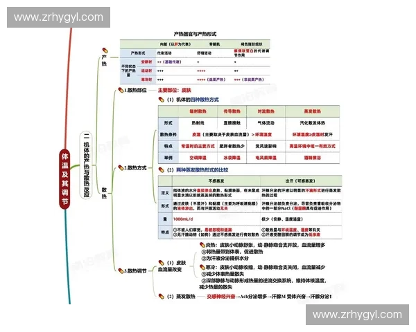 基于能量代谢模型的多维调控机制与健康风险评估研究